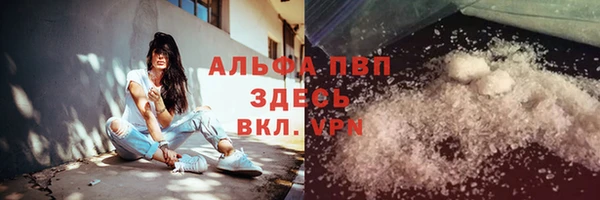 СК Сосновоборск
